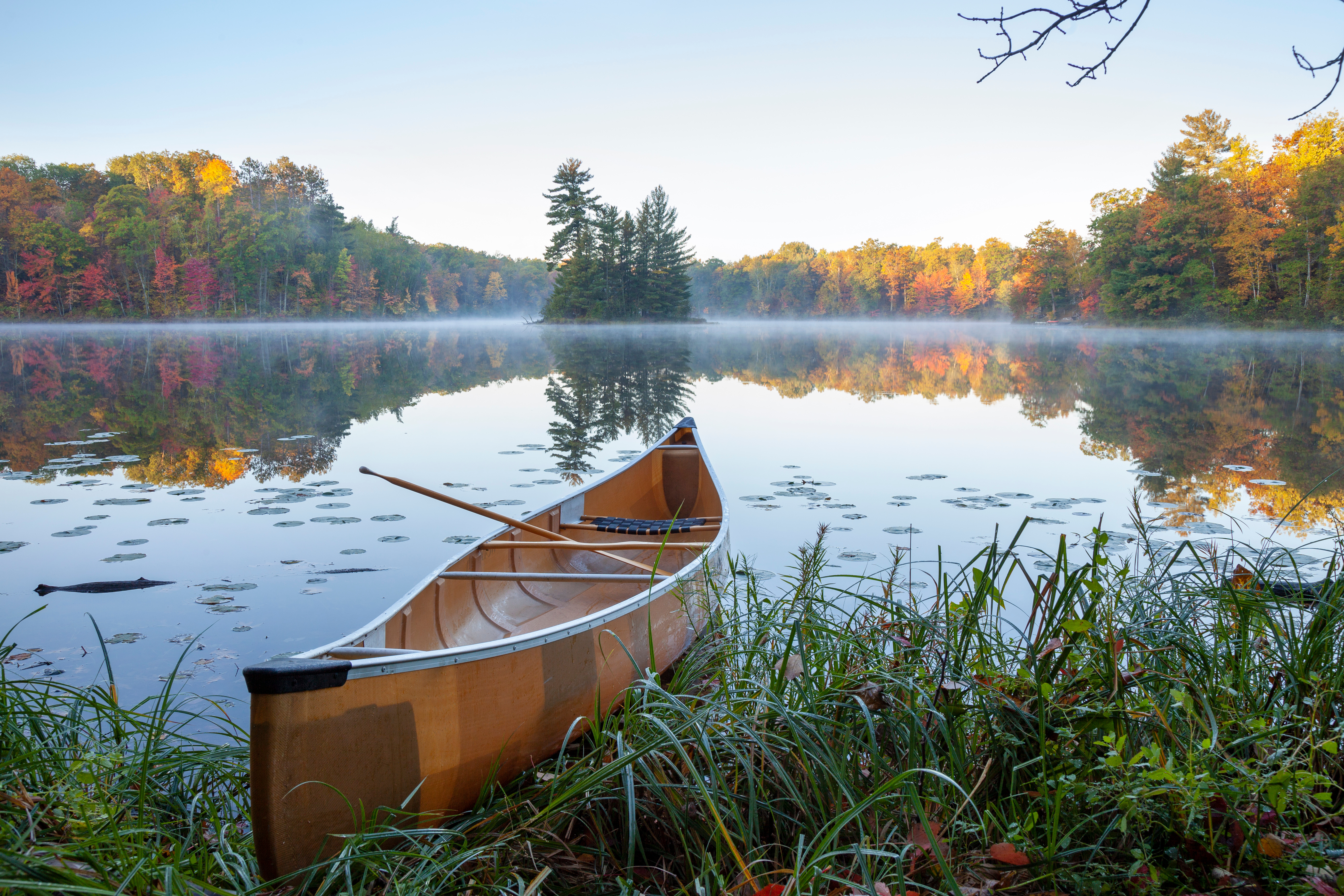 Northern Minnesota lake at dawn representing Wheeler & Associates' local roots